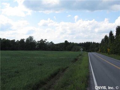 Land. View toward NW - property line is beyond tre