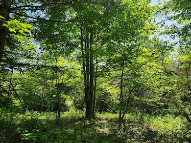 1.7 Marsh Rd unit 7, Erin, NY 14838 - photo 5