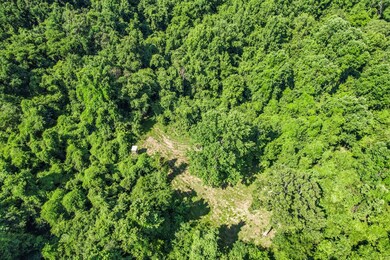 50 Proby Rd, Natchez, MS 39120 - photo 6