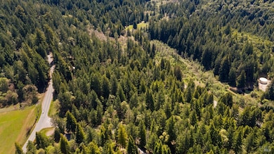 24680 Brooktrails Dr, Willits, CA 95490 - photo 6