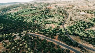 DJI_0245