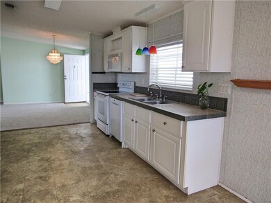 36640 Grace Ave, Zephyrhills, FL 33542 - photo 5