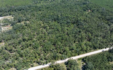 TBD 145th Rd, McAlpin, FL 32062 - photo 6