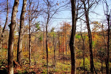 261 Porter Rd, Plainfield, NH 03781 - photo 4