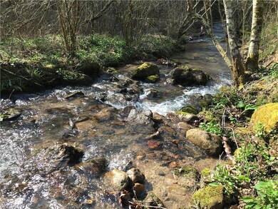 1455 Caseys Branch Rd, Purlear, NC 28665 - photo 2