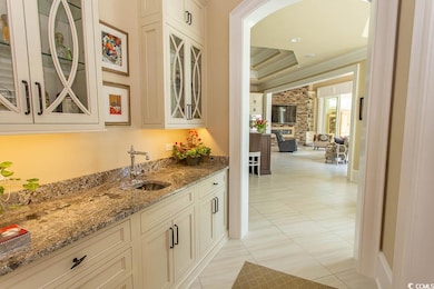 Bar with ornamental molding, a sink, a tray ceiling, a stone fireplace, and indoor wet bar