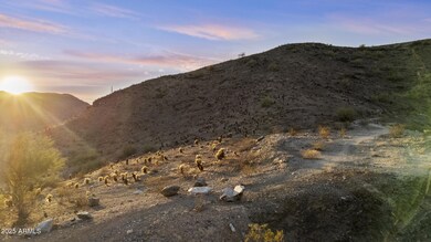 1682 E Desert Willow Dr unit 4, Phoenix, AZ 85048 - photo 5