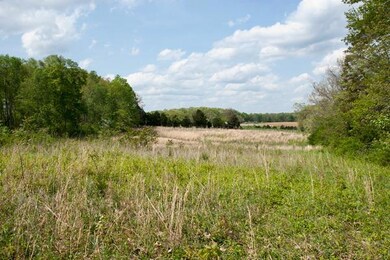 View from back of property towards Grundy Road