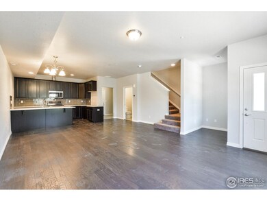 Living Room / Kitchen
