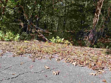 L-35, 36, B-7 Pahokee Dr, Cherokee Village, AR 72529 - photo 6