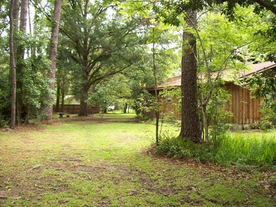 Back of Home