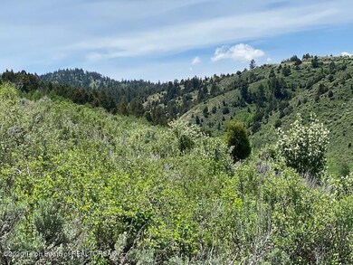 IMG_0274