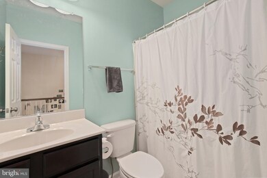 217 Miles Hawk Terrace, Purcellville, VA 20132 - photo 7