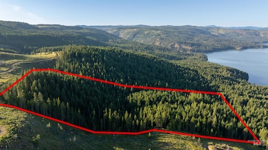 7362 S Dick's Creek Rd, Kendrick, ID 83537 - photo 6