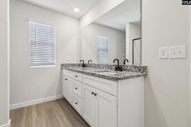 A walk-in shower and a large double vanity are showcased in the master bath.