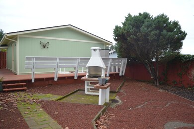 Back yard BB-Q