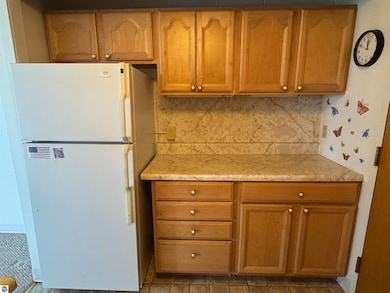 5951 N Skeel Ave unit 306, Oscoda, MI 48750 - photo 5