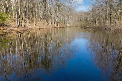 Lot 1 Kennebunk Rd, Lyman, ME 04002 - photo 7