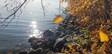 Natural Rip Rap Shoreline