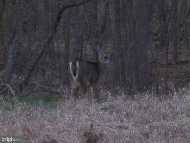 0 Steamboat Run Rd unit 1004352034, Shepherdstown, WV 25443 - photo 5
