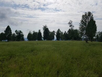 20180530_173351_resized