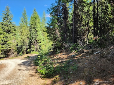 0 XX E Fork Cougar Creek Rd, Wauconda, WA 98859 - photo 4