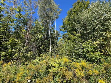 16 Dexter Rd, Garland, ME 04939 - photo 6