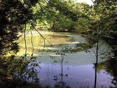 Land.