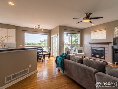 13489 Marion St, Thornton, CO 80241 - photo 7