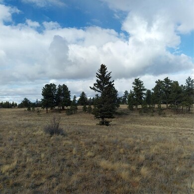 0 Singletree Rd unit S1064407, Buena Vista, CO 81211 - photo 7