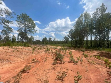 00 Casey Rd, Woodruff, SC 29388 - photo 4