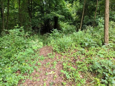 TBD Dennis Dr, Johnson City, TN 37601 - photo 6