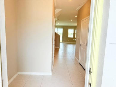 31763 Blue Passing Loop, Wesley Chapel, FL 33545 - photo 3