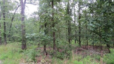 0 Banjo Ln, Broken Bow, OK 74728 - photo 5