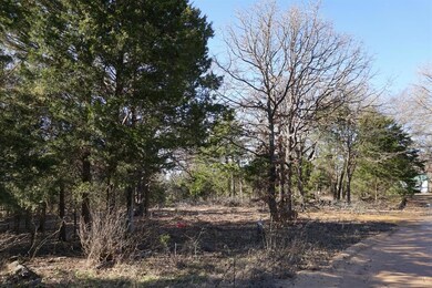 01 Private Road 5204, Athens, TX 75751 - photo 3