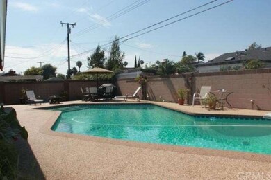 Privacy in your backyard oasis
