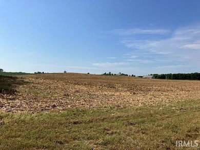 4 Acres Bierhaus Blvd, Vincennes, IN 47591 - photo 3