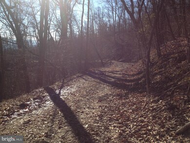 0 Battlefield Rd unit 1002812898, Strasburg, VA 22657 - photo 7