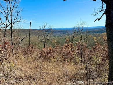 0 4540 Rd, Vian, OK 74962 - photo 6