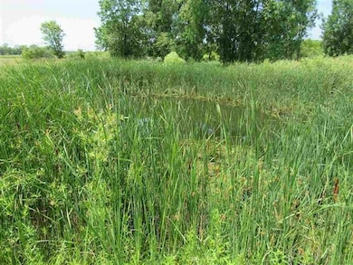 4301 N White Hawk Dr, Appleton, WI 54913 - photo 3