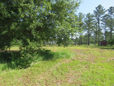 View from Pond to the road