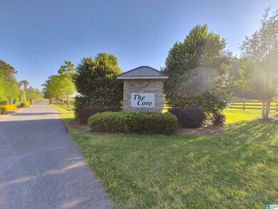00 Cove Rd, Fayetteville, AL 35151 - photo 5