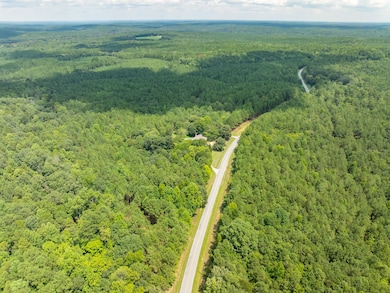 0 Neal Shoals Rd, Union, SC 29379 - photo 7