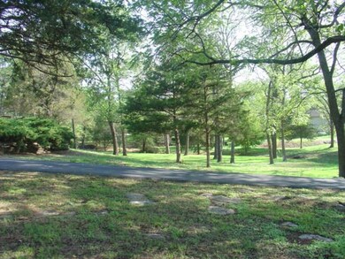 261 S Shangri la Ct, Nixa, MO 65714 - photo 5