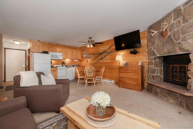62927 US Highway 40 unit 112, Granby, CO 80446 - photo 4