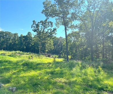 Land cleared near home