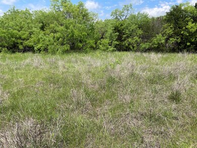 1599 Brookside Dr, Whitney, TX 76692 - photo 4