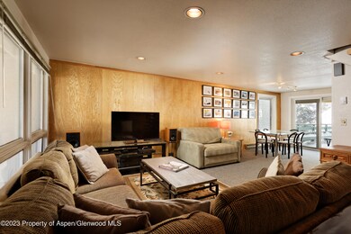 1501 Maroon Creek Rd unit 5, Aspen, CO 81611 - photo 7