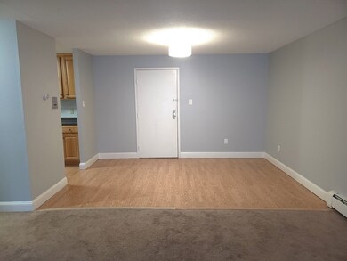 2 Silvestri Cir unit 13, Derry, NH 03038 - photo 6