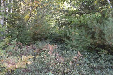 3 Sagamore Ridge unit Lot 6, Tuftonboro, NH 03816 - photo 3